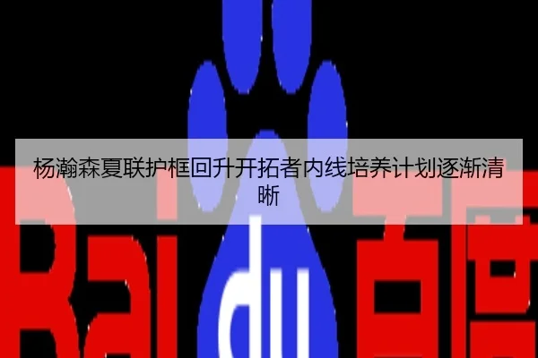 杨瀚森夏联护框回升开拓者内线培养计划逐渐清晰