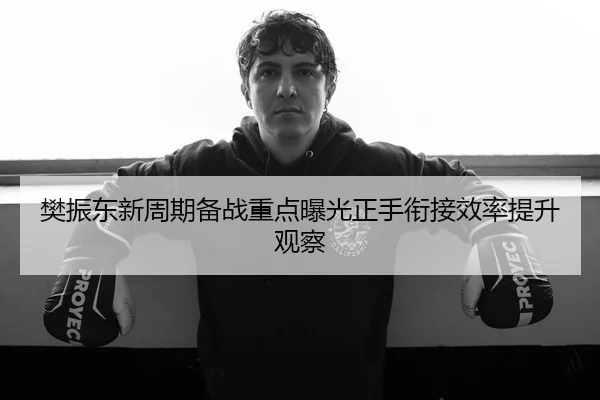 樊振东新周期备战重点曝光正手衔接效率提升观察