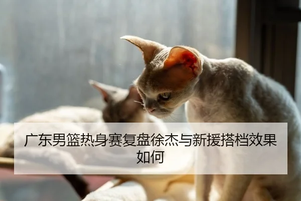 广东男篮热身赛复盘徐杰与新援搭档效果如何